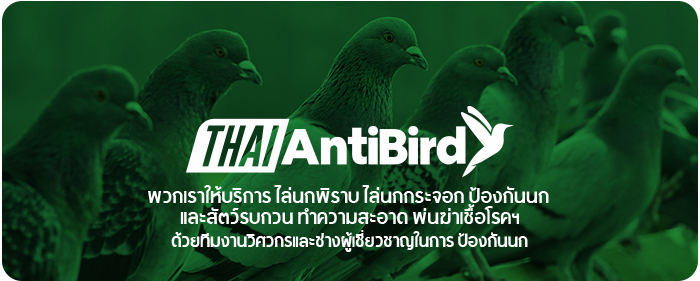 หน้าแรก